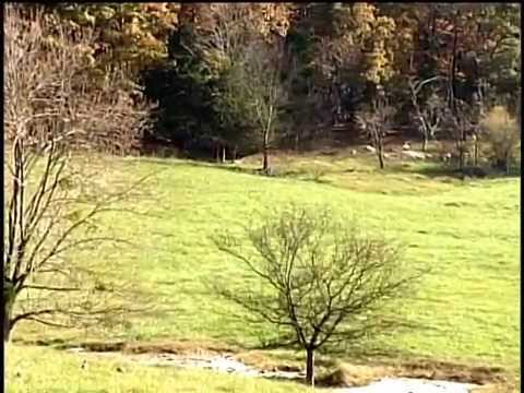 SRS 2010 - Huntsville, AL Show 1 Part 1