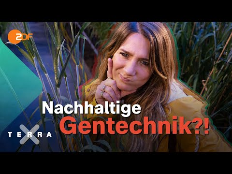 Genmanipuliertes Essen: Horror oder Hoffnung?