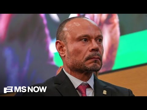 ‘This guy is freaking joke’: Nicolle Wallace unloads after news of Dan Bongino quitting his FBI job