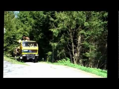 Mercedes 1719 AK Baujahr 1980