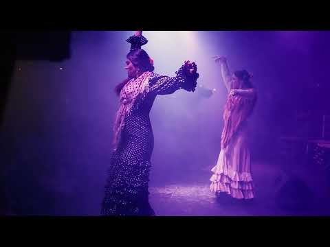 Flamenco Barcelona City Hall