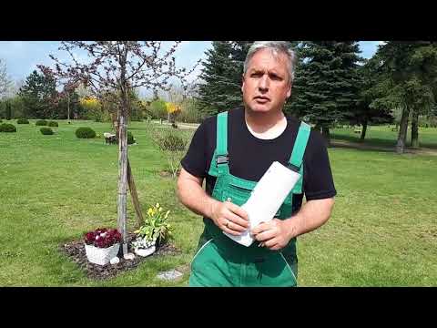 Friedpark Falkenberg soll Erweiterung erfahren