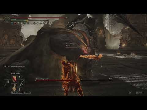 The Elden Ring multiplayer experience