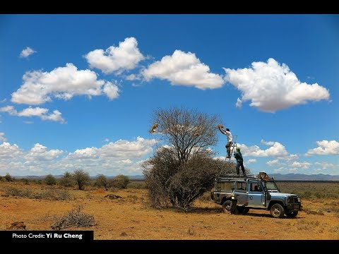 How Habitats Change