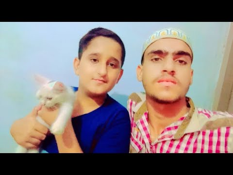 Cat Lay Li Hum Nay|Real Brothers Vlog|