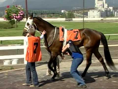 'Horse Racing' - top races featured 2008 'Black Eyes Susan', 2008 Preakness 'Big Brown'