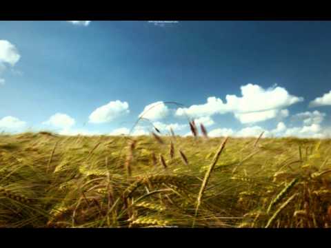 Etnosphere - In Search Of A New World [original mix]