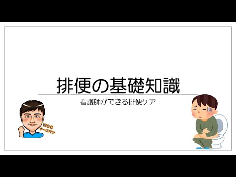 排便の抑制は致命的な結果をもたらす可能性がある