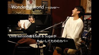 Wonderful world  〜cover〜 Chris eatonの曲をSalt &amp; Sugarがカバーしてたののカバー