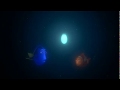 Finding Nemo I See A Light