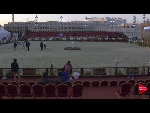 N.44 NAJLA UMM ALUDHAM - 2019 Qatar International show - Fillies 2 Years Old (Class 2)