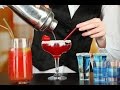 How To Make a Cocktail