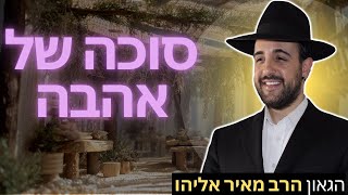 הרב מאיר אליהו | סוכה של אהבה | משכן יהודה (הרב מאיר אליהו) - התמונה מוצגת ישירות מתוך אתר האינטרנט יוטיוב. זכויות היוצרים בתמונה שייכות ליוצרה. קישור קרדיט למקור התוכן נמצא בתוך דף הסרטון