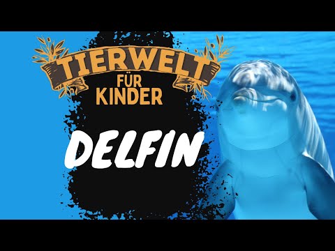 Folge 2: Delfine - Tierwelt für Kinder - Lernvideo auf Deutsch