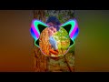 Husn Hai Suhana Edm Mix Dj Pãpüñ