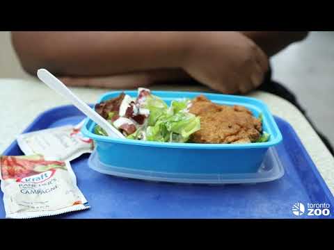 Global Recycling Day x Friendlier ♻️