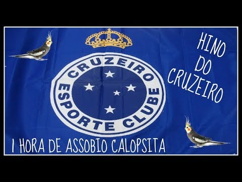 ASSOBIO CALOPSITA - HINO DO CRUZEIRO