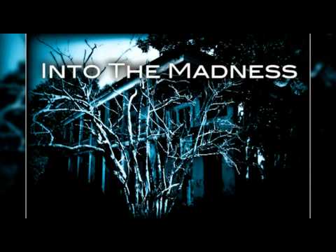 Marc R. Bublitz - Into The Madness