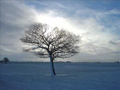 X-Zero - Isolation feat. Lady J