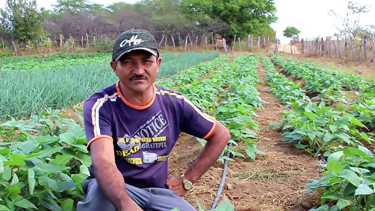 Pequeno plantio de hortaliças e feijão pode dar lucro de 30 mil reais a agricultor, em Conceição