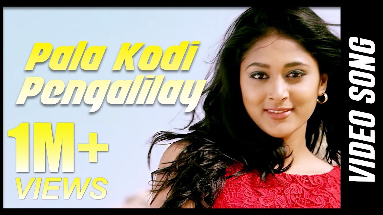Pala Kodi Pengalilay Lyrics  | India Pakistan | Hemachandran, Nivas | Deena Devarajan