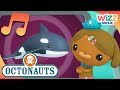 What Is An Orca Songs For Kids Octonauts Wizz Music