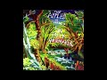 The Apples in stereo / Show The World