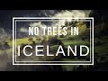 Why Are There No Trees In Iceland Iceland 2019 Trees In Iceland