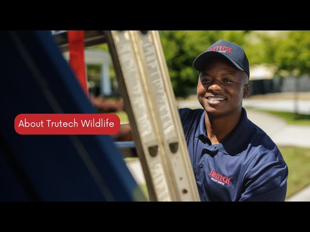 Video thumbnail: About Us - Trutech Wildlife Service