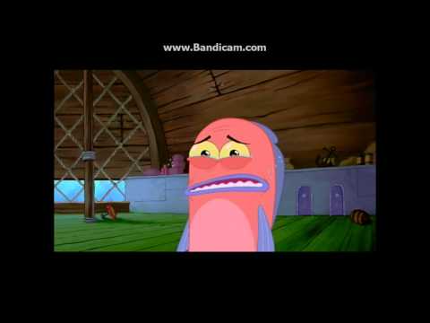 Opening to Nick Picks: Vol. 2 2005 DVD