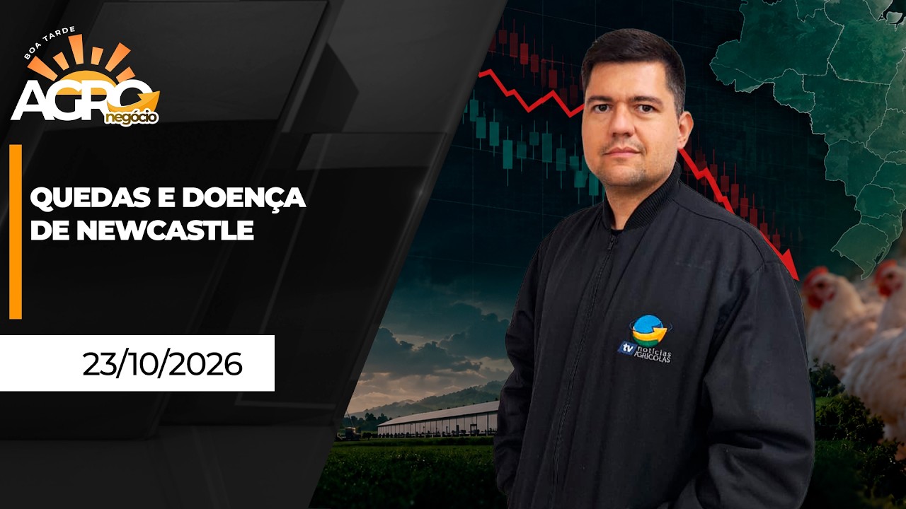 BOA TARDE AGRO - Semana de baixa para os preços e mercado brasileiro atento à doença de Newcastle