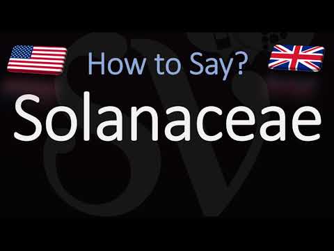 How to Pronounce Solanaceae? (CORRECTLY)