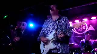 The Blow Monkeys Digging Your Scene - Champions Music & Entertainment
