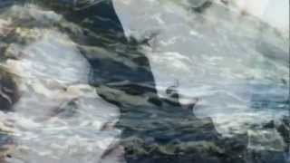 Crosby Stills & Nash: Wasted On The Way