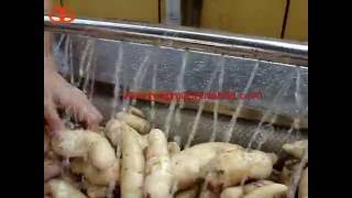 sweet potato cleaning machine work video/potato cleaner/sweet potato washer