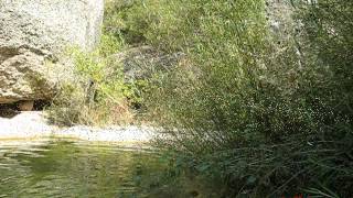 preview picture of video 'Ruta siguiendo el río Montsant, Ulldemolins. 09.09.12'