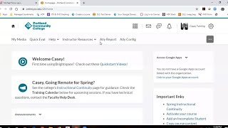 D2L Brightspace: Accelerated Basics--Casey Twining