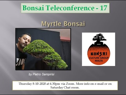 Pietro Sampirisi zoom presentation 8th Oct 2020