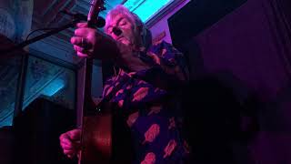 Robyn Hitchcock - I Got the Hots - Bordentown NJ, April 12th 2019