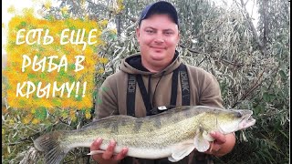 Рыбалка на пресных водоемах 2020 крым