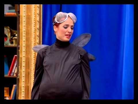 İnsanlar Alemi -Sivrisinek