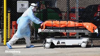 Long-Term Virus Battle Is Just Starting: Johns Hopkins