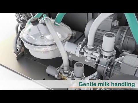 GEA Monobox Animation (Melkverlauf und Komponenten