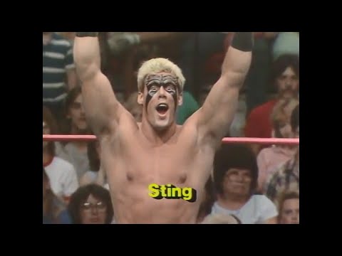 Tag Titles   Eddie Gilbert & Sting vs The Fantastics   UWF Aug 23rd, 1986