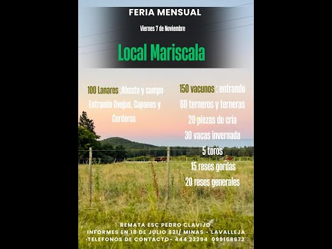 7/11/2025 Feria Mensual - Local Mariscala - Lavalleja - Pedro G. Clavijo