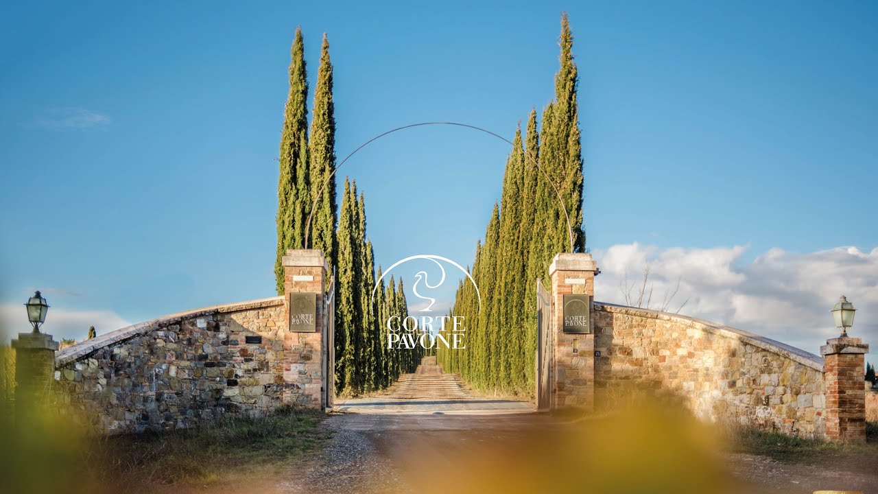 Montalcino: Gourmet-Wein- und Speisenverkostung