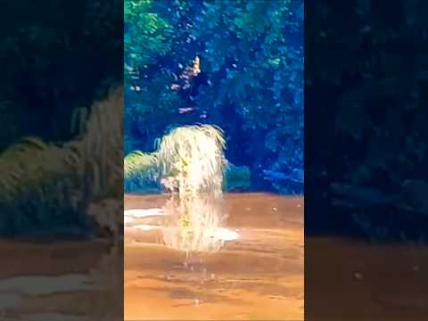 Puente San Lorenzo en Cura Brochero, Traslasierras, Córdoba, Argentina #curabrochero