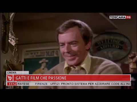 2018-10-08 TG MERIDIANO