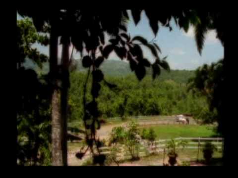 Las 9 Plagas-Wisin y Yandel HQ