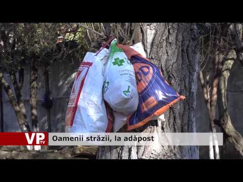 Oamenii străzii, la adăpost